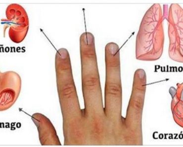 Cada dedo está conectado con dos órganos: Método Japonés de Curación