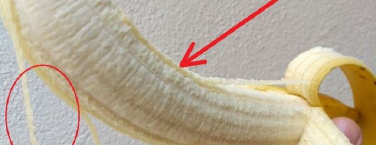 Los secretos de las fibras blancas bajo la cáscara del plátano.