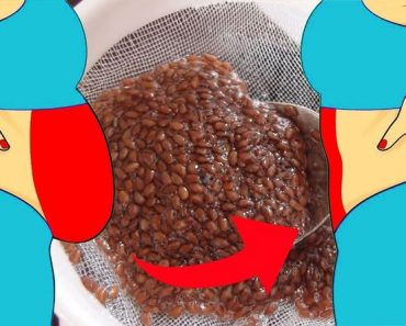 Semillas de Lino: Propiedades y Beneficios del Super Alimento de Moda Semillas de Lino: Propiedades y Beneficios del Super Alimento de Moda