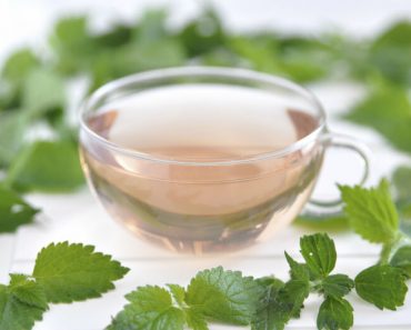 La Planta De La Juventud Devuelve El Colágeno de La Piel, Reduce La Presión, Colesterol y Antioxidantes La Planta De La Juventud Devuelve El Colágeno de La Piel, Reduce La Presión, Colesterol y Antioxidantes