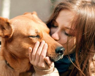 La mitad de las personas besa más a sus mascotas que a su pareja, afirma un estudio