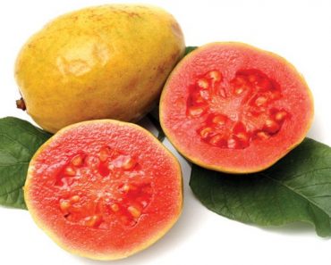 Usa la Guayaba y sus hojas para controlar la diabetes, sanar la colitis, el asma, la gota, el catarro y mucho más. Usa la Guayaba y sus hojas para controlar la diabetes, sanar la colitis, el asma, la gota, el catarro y mucho más.
