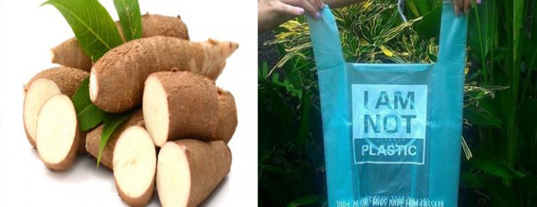 Bolsas de yuca que se disuelven en agua y sirven de alimento para los peces Bolsas de yuca que se disuelven en agua y sirven de alimento para los peces
