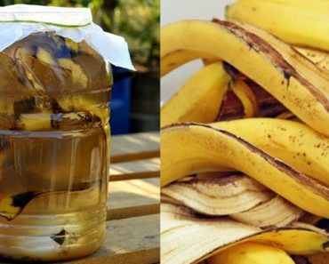 Asi debes Preparar Agua de de Banana Para Regar las Plantas