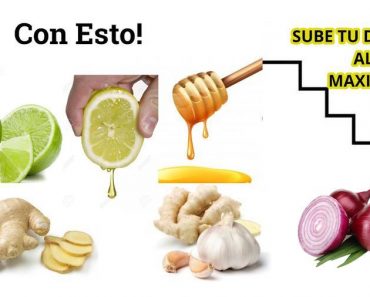 Fortalece el Sistema Inmunológico (Jarabe de cebolla jengibre miel y limón para la tos y las flemas)