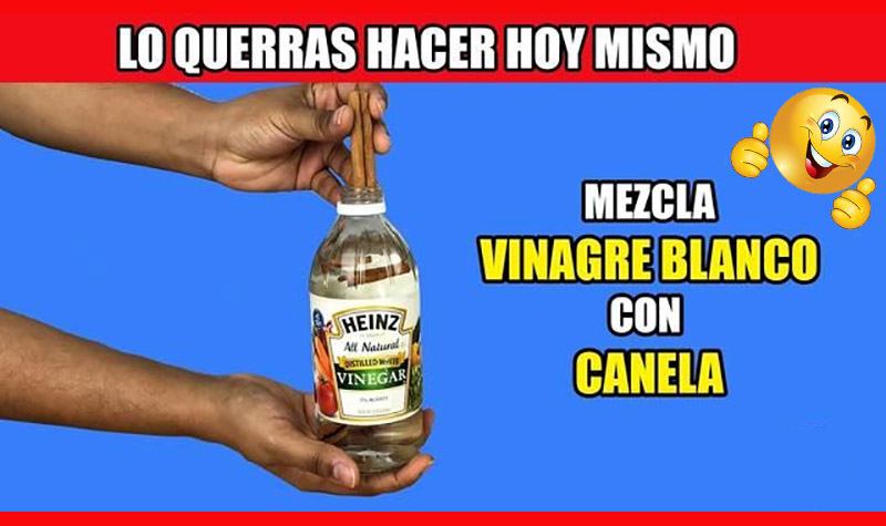 Mezcla VINAGRE BLANCO CON CANELA de esta forma y te aseguro que me lo agradeceras al otro día