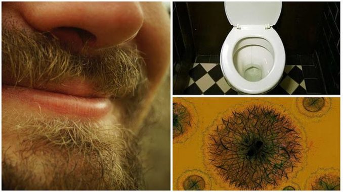 BACTERIASBARBA