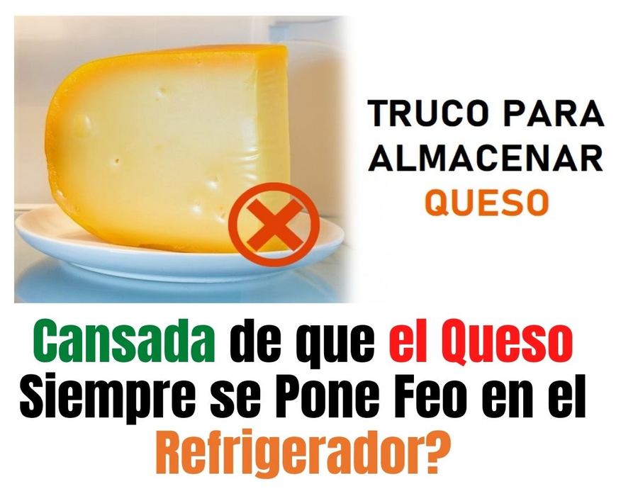 Como Evitar que el Queso se Ponga Duro y Feo en el Refrigerador