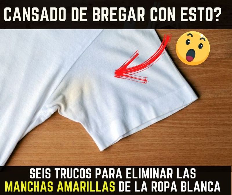 Seis Trucos para Eliminar las Manchas Amarillas de la Ropa Blanca