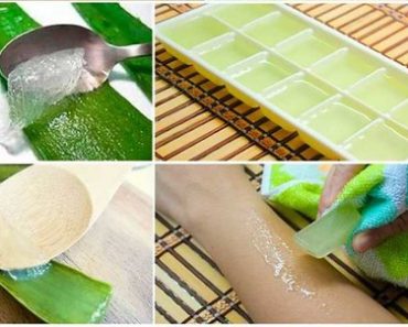Por Que Deberias Congelar el Aloe Vera o Sabila ? TE SORPRENDERAS ! Por Que Deberias Congelar el Aloe Vera o Sabila ? TE SORPRENDERAS !