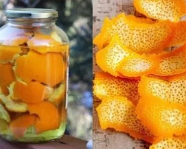 Por qué Poner Cáscaras de Naranja en una Botella: Truco Brillante Por qué Poner Cáscaras de Naranja en una Botella: Truco Brillante